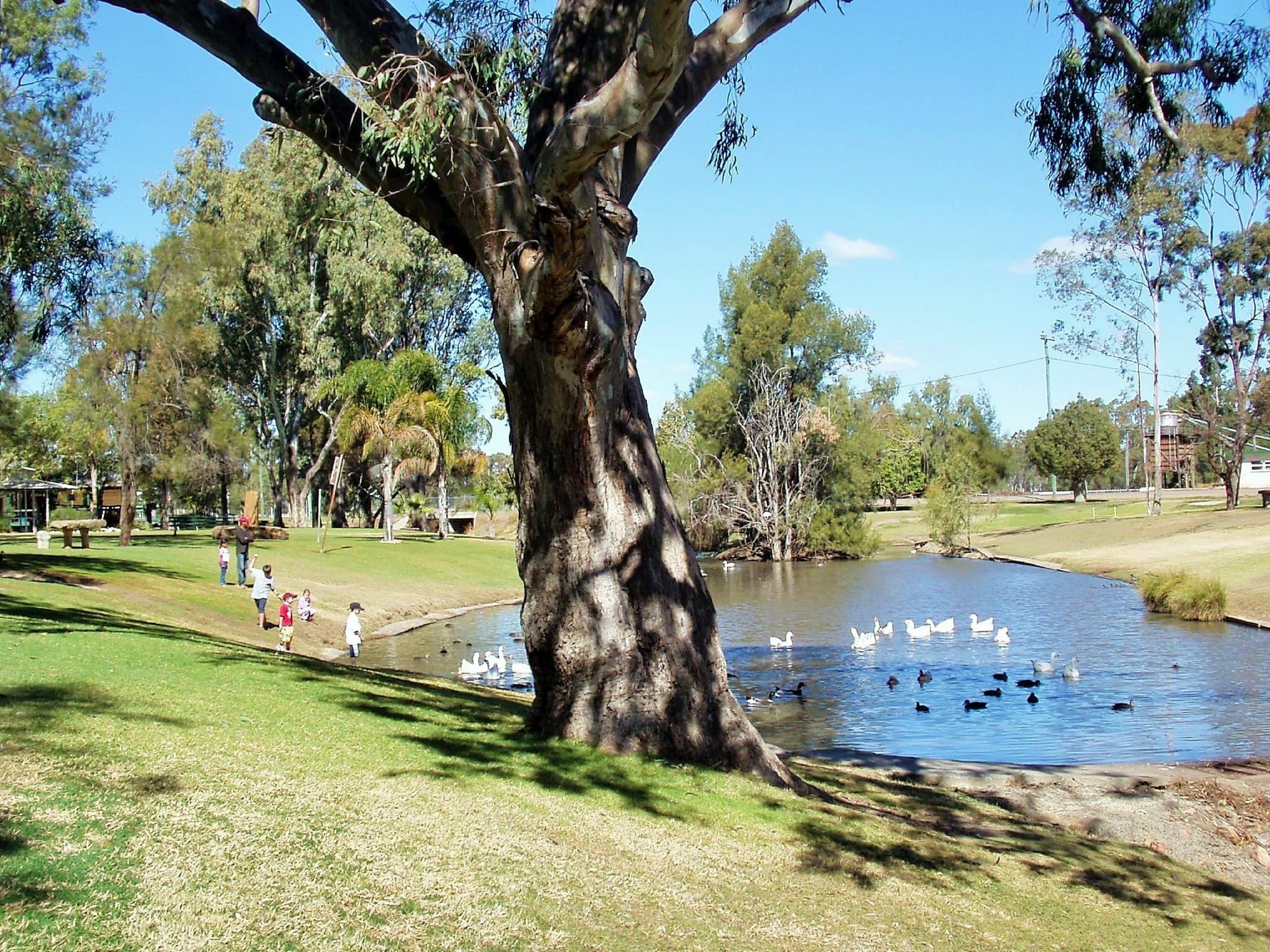 Best Western Bungil Creek Motel Roma Extérieur photo